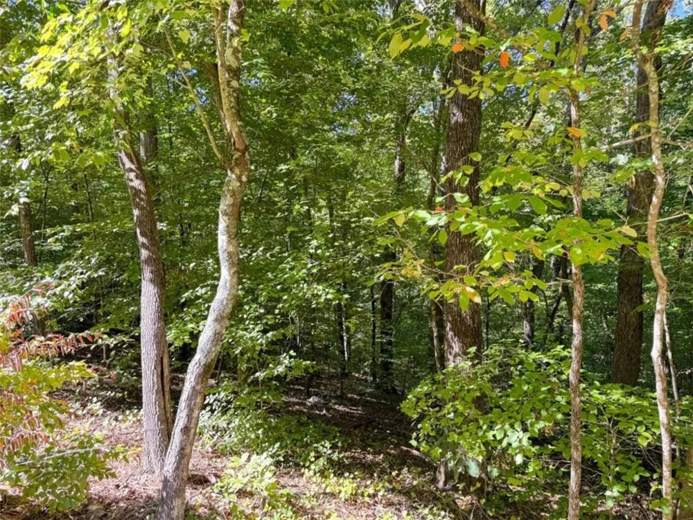 0 Barrington Covington, GA 30016
