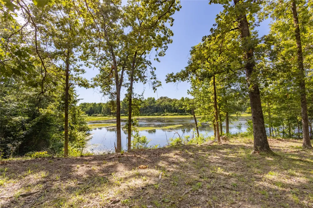 660 County Road 1503 Alba, TX 75410