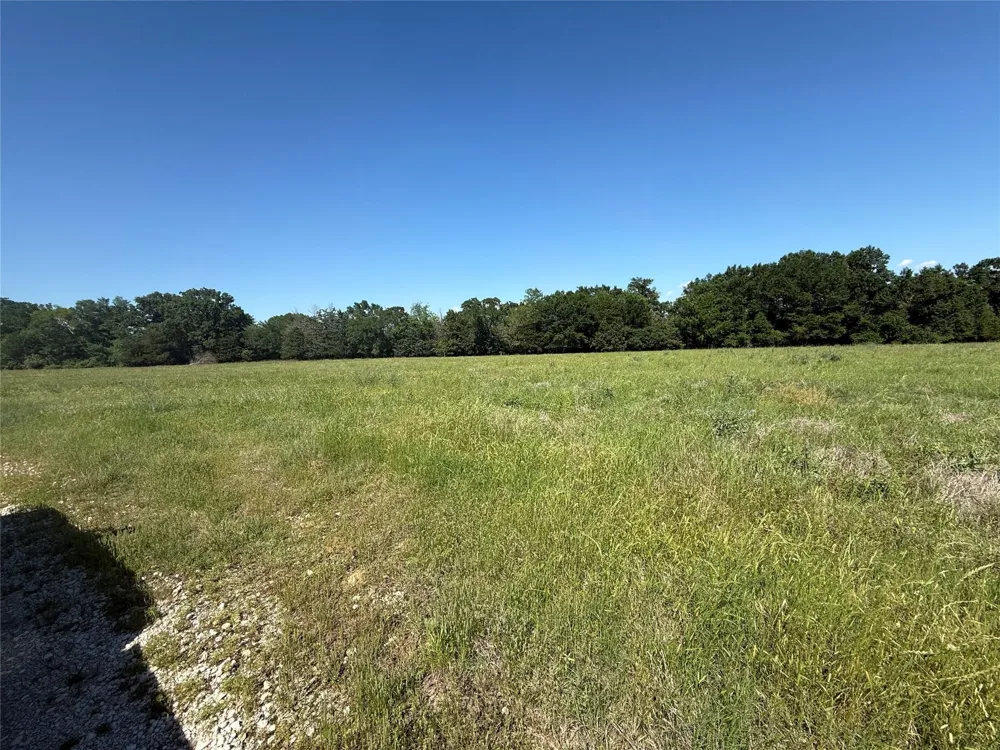3 Hwy 164 Donie, TX 75838