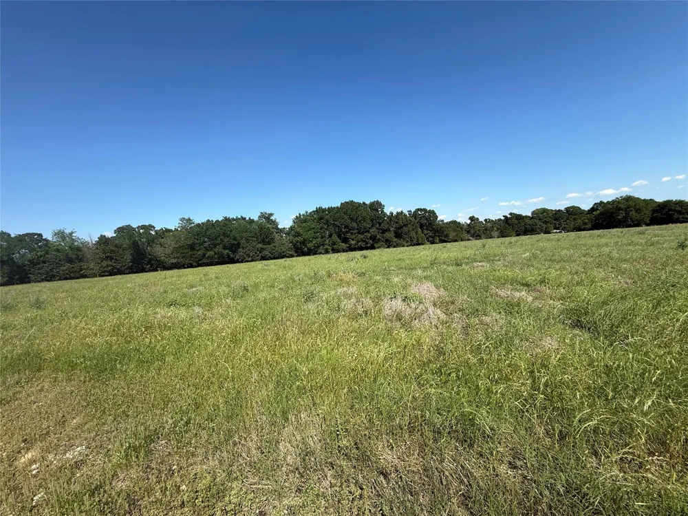 3 Hwy 164 Donie, TX 75838