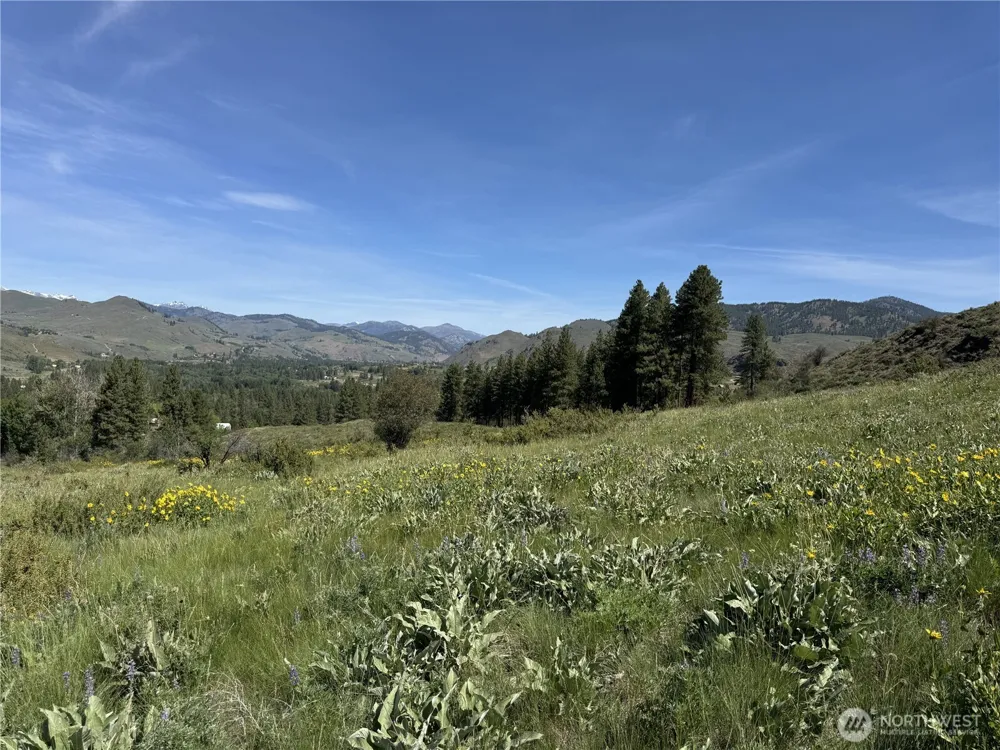 62 xx Bella Vista Lane Winthrop, WA 98862