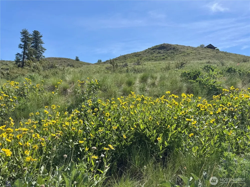 62 xx Bella Vista Lane Winthrop, WA 98862