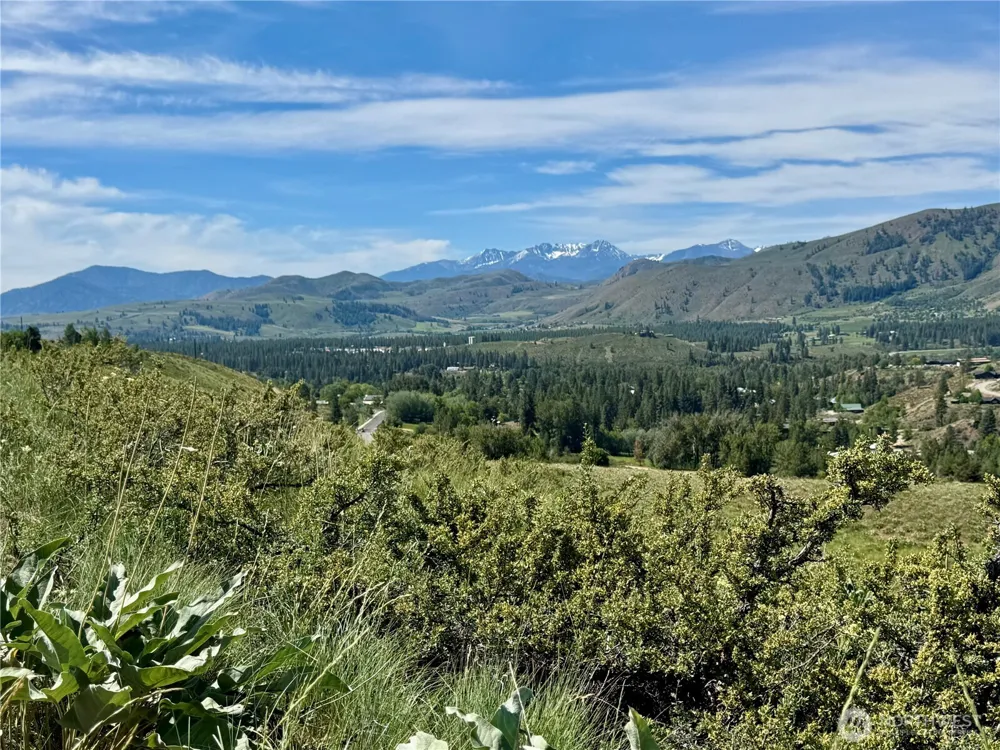 62 xx Bella Vista Lane Winthrop, WA 98862