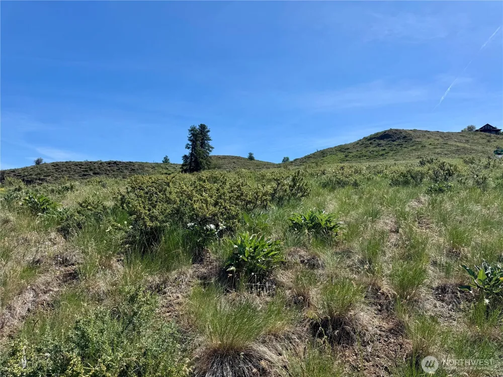 62 xx Bella Vista Lane Winthrop, WA 98862