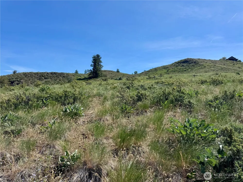 62 xx Bella Vista Lane Winthrop, WA 98862