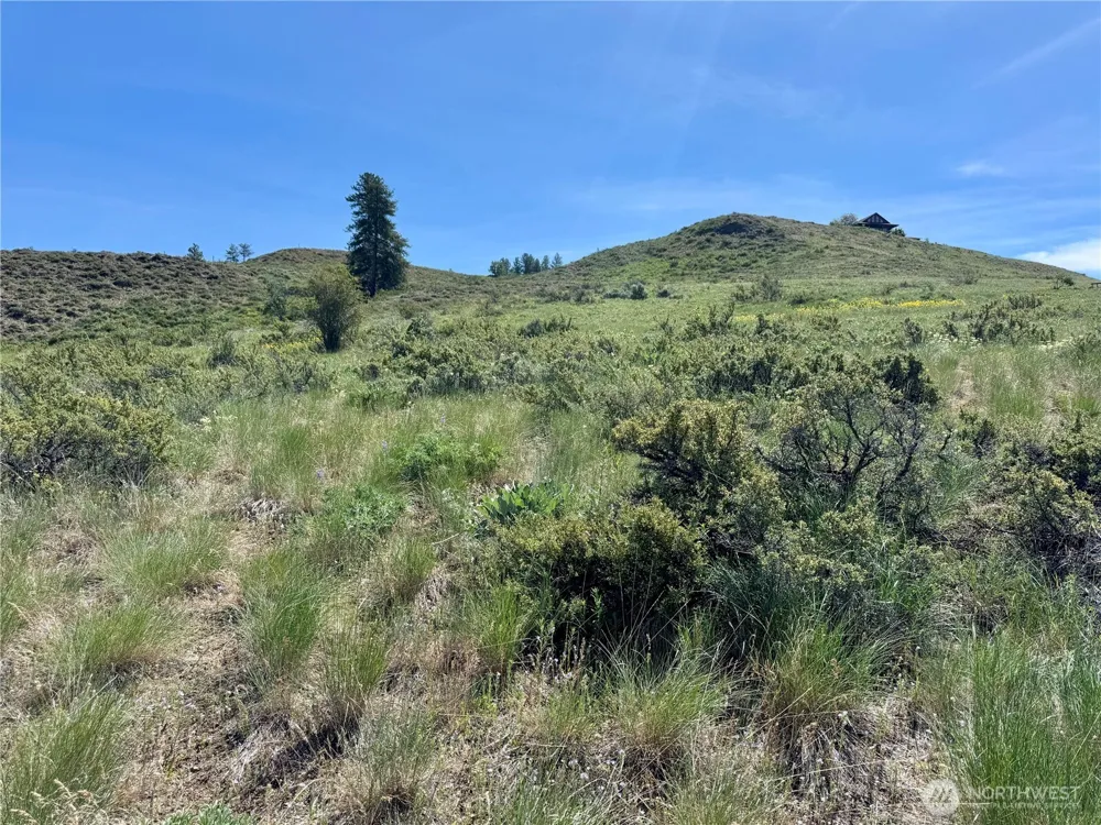 62 xx Bella Vista Lane Winthrop, WA 98862