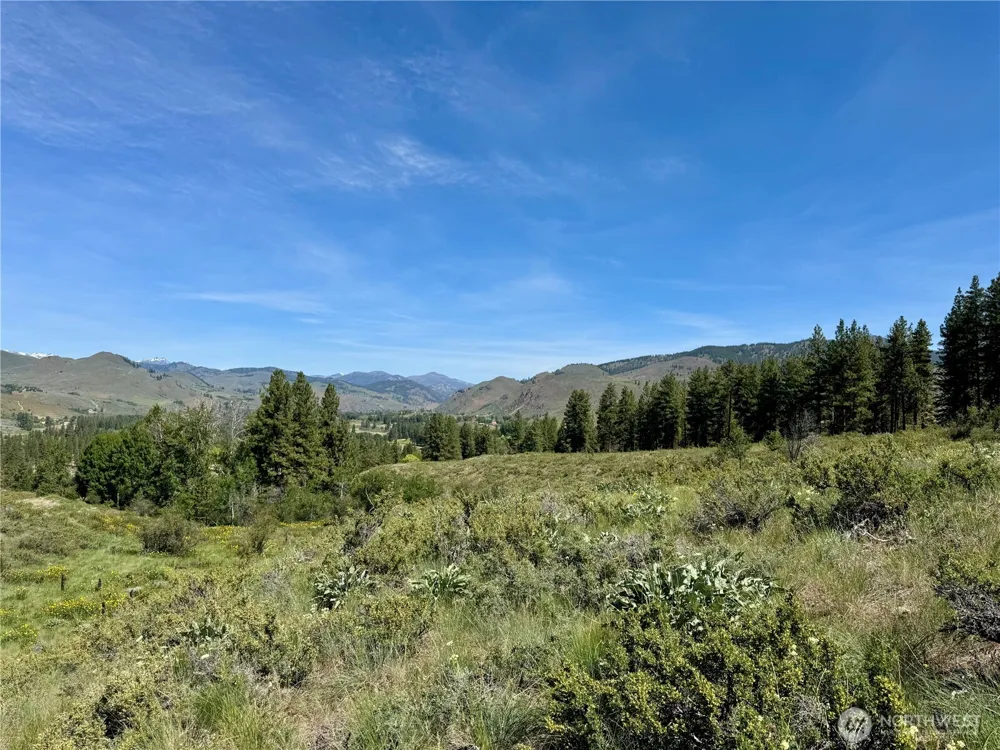 62 xx Bella Vista Lane Winthrop, WA 98862