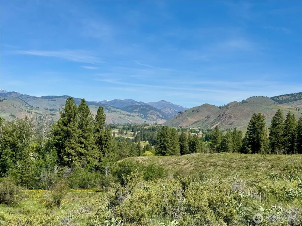 62 xx Bella Vista Lane Winthrop, WA 98862