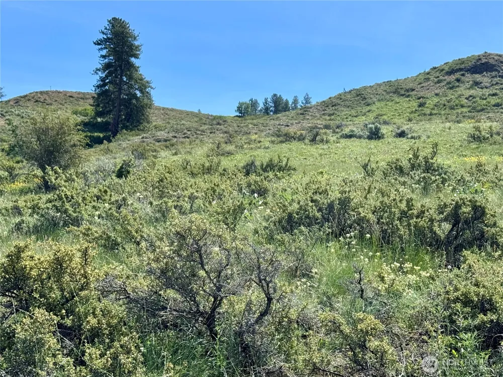 62 xx Bella Vista Lane Winthrop, WA 98862
