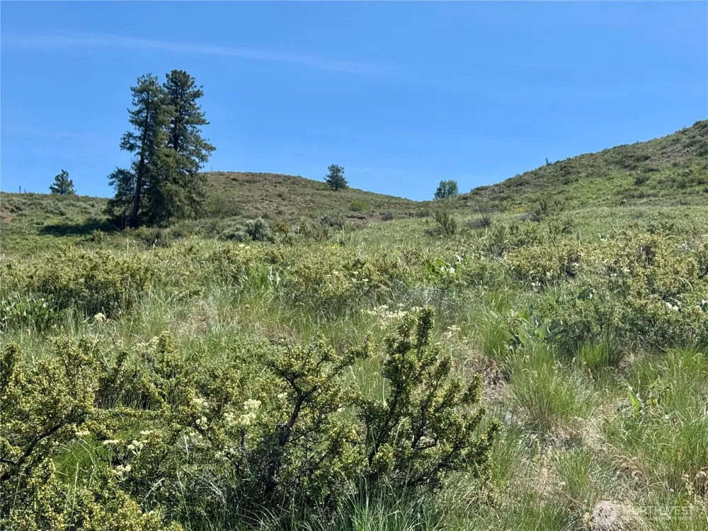 62 xx Bella Vista Lane Winthrop, WA 98862