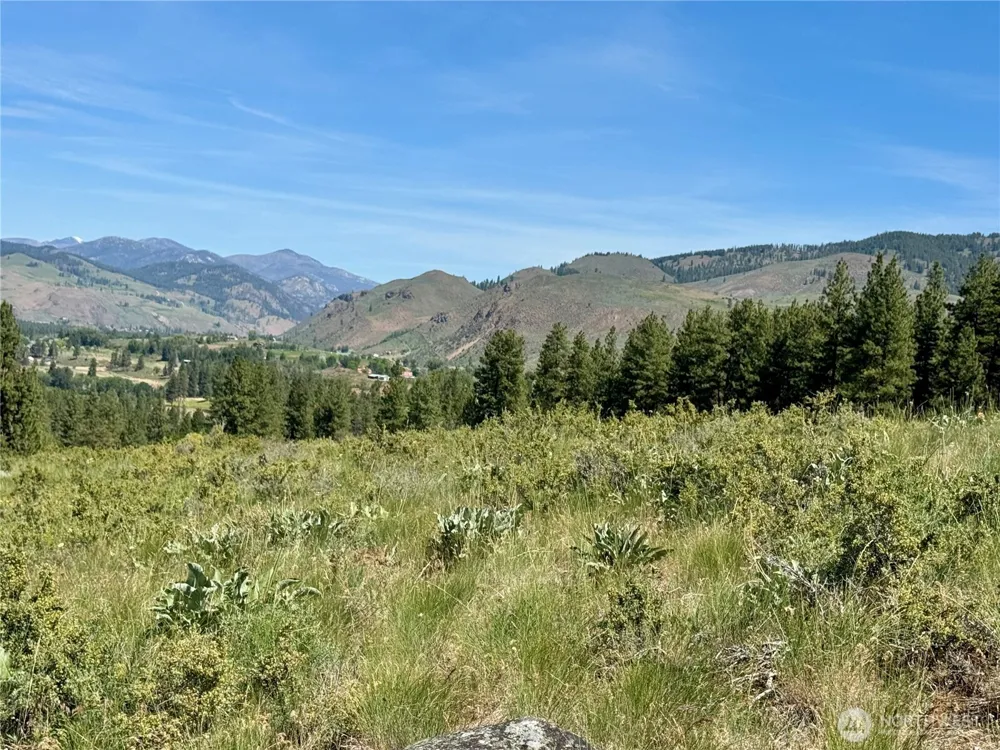62 xx Bella Vista Lane Winthrop, WA 98862