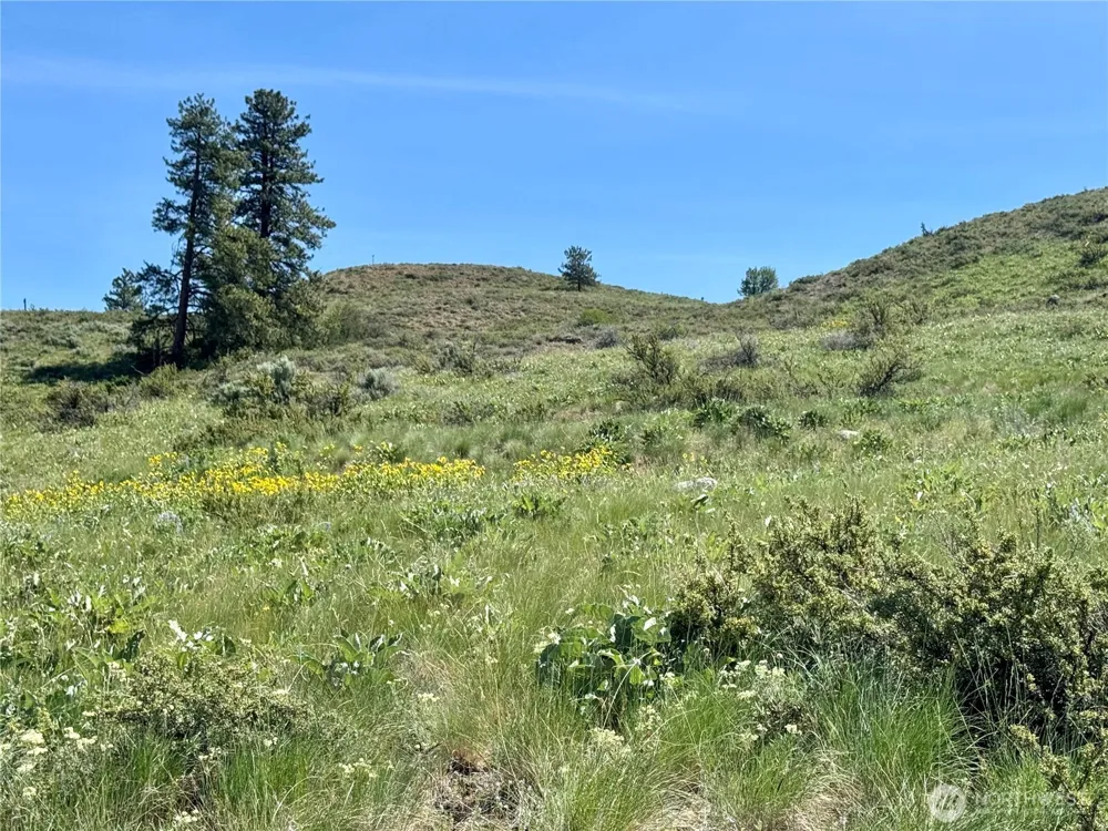 62 xx Bella Vista Lane Winthrop, WA 98862