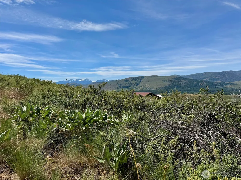 62 xx Bella Vista Lane Winthrop, WA 98862
