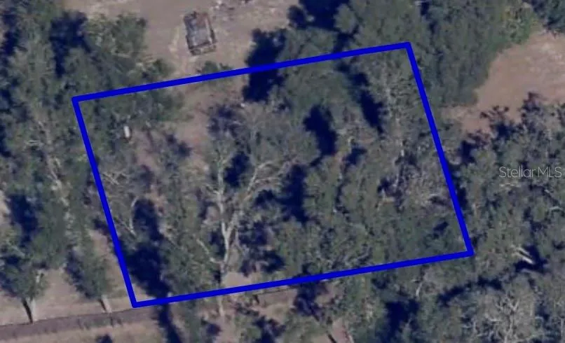 1621 CLARCONA ROAD Apopka, FL 32703