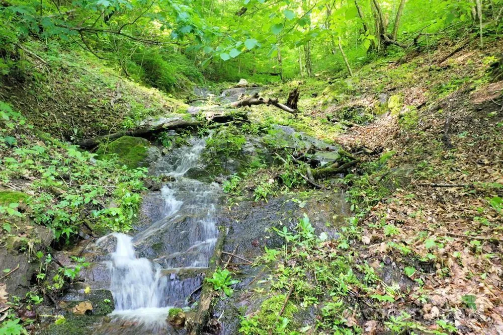 Lot 284 Running Deer Trail Waynesville, NC 28786