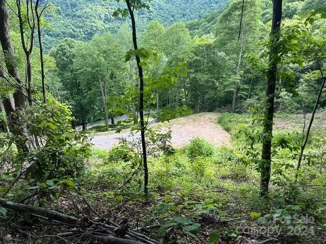 Lot 284 Running Deer Trail Waynesville, NC 28786