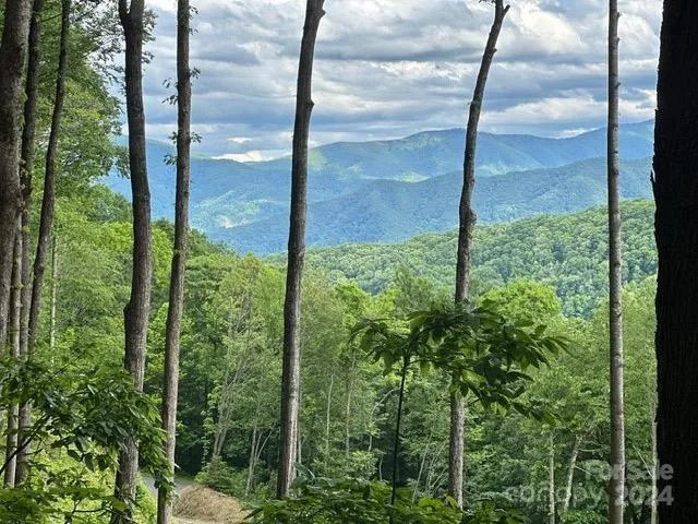 Lot 284 Running Deer Trail Waynesville, NC 28786