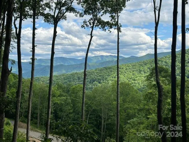Lot 284 Running Deer Trail Waynesville, NC 28786
