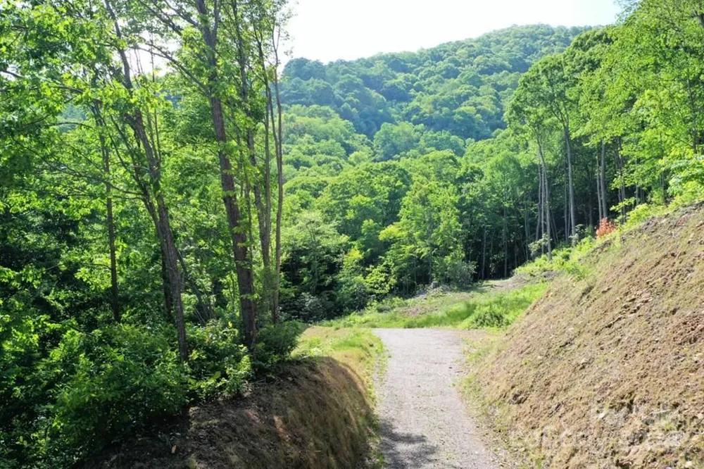 Lot 284 Running Deer Trail Waynesville, NC 28786