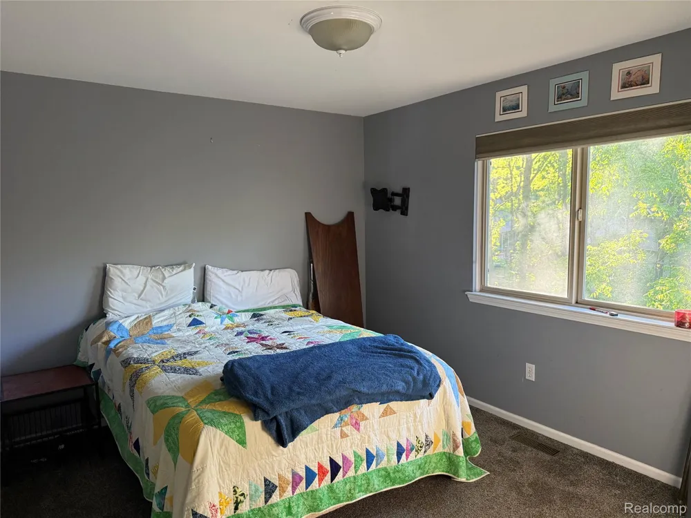 8318 Mill Pointe Court Atlas Township, MI 48438