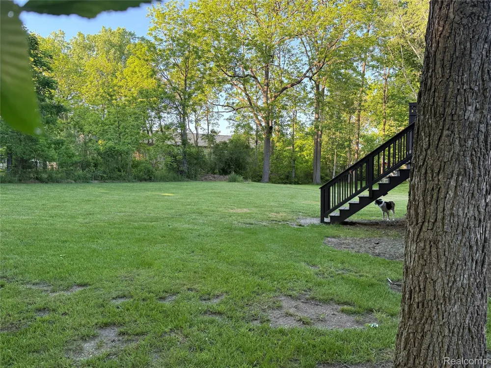 8318 Mill Pointe Court Atlas Township, MI 48438