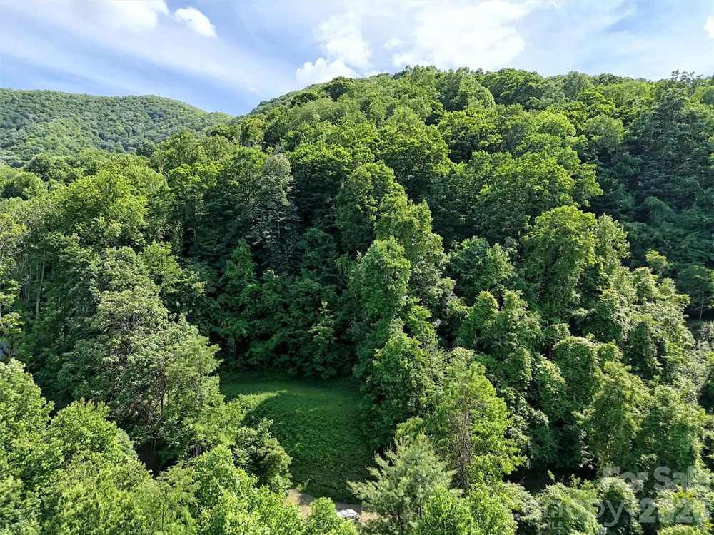 Lot 402 Malin Trail Waynesville, NC 28786