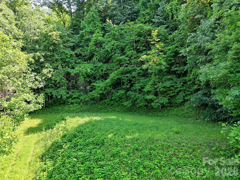 Lot 402 Malin Trail Waynesville, NC 28786