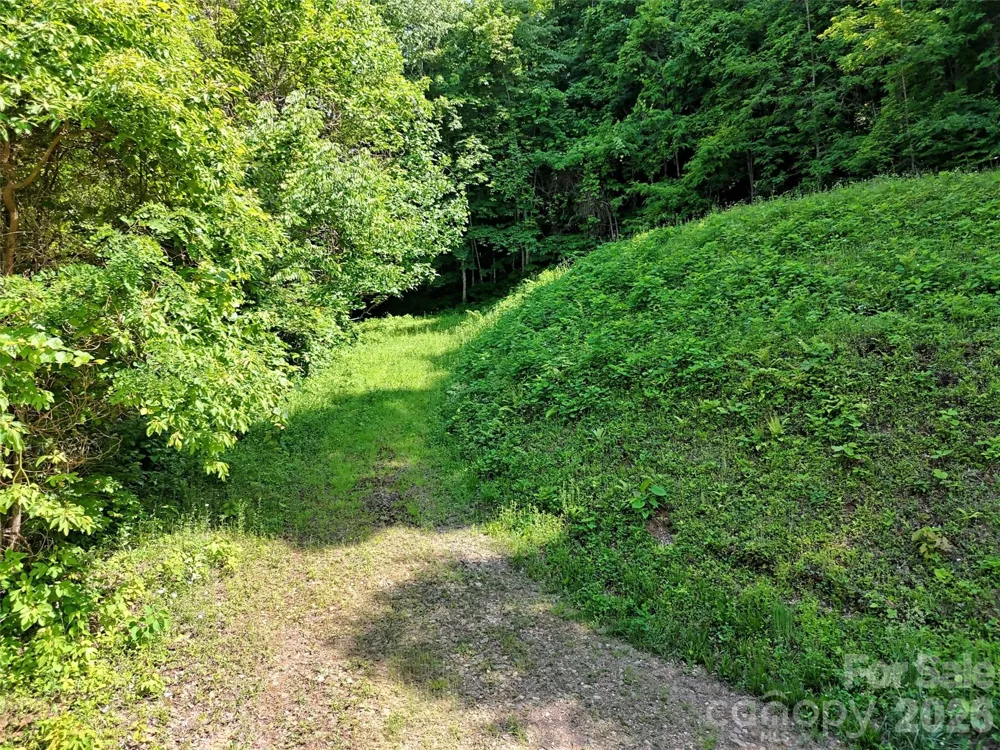 Lot 402 Malin Trail Waynesville, NC 28786