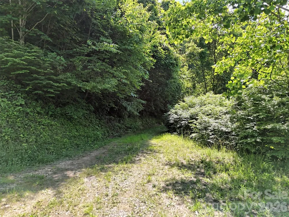 Lot 402 Malin Trail Waynesville, NC 28786
