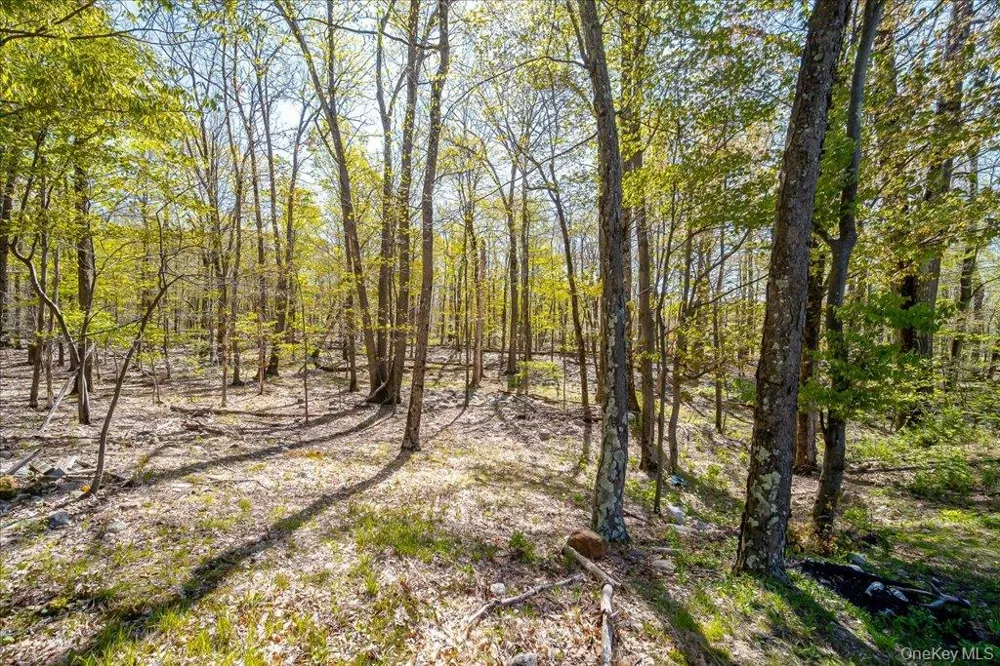 80 Jones Road Pine Bush, NY 12566
