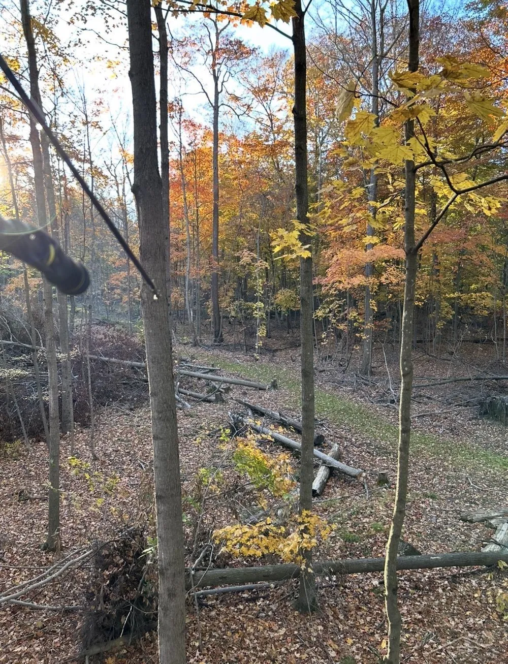 Lange Road Birch Run Township, MI 48722