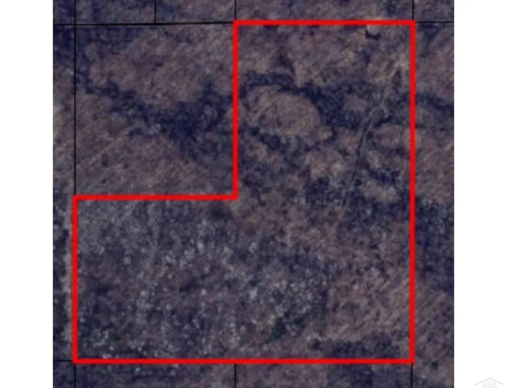 Lange Road Birch Run Township, MI 48722