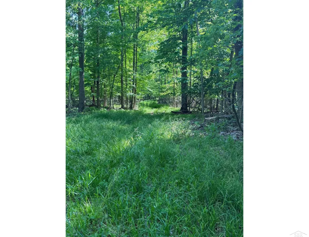Lange Road Birch Run Township, MI 48722