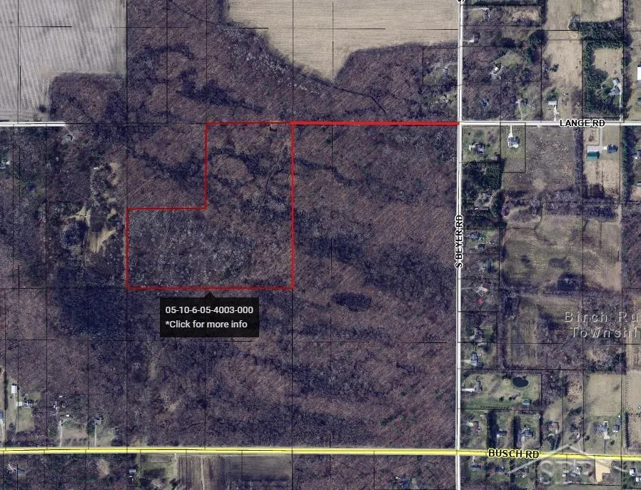 Lange Road Birch Run Township, MI 48722