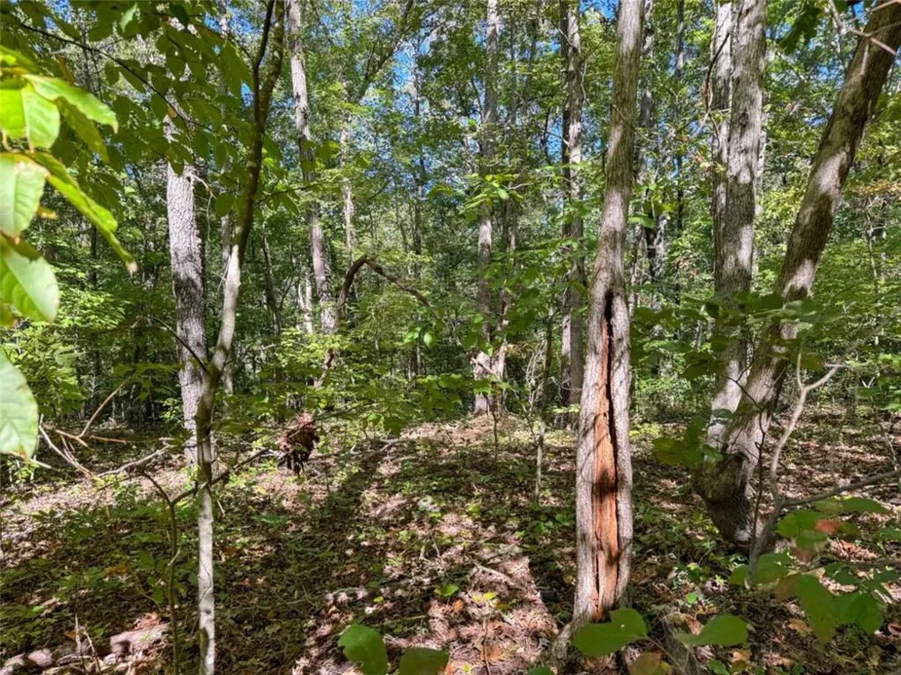 0 (Barrington Subd) 16 Approved Covington, GA 30016