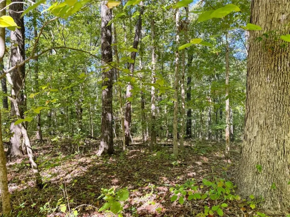 0 (Barrington Subd) 16 Approved Covington, GA 30016