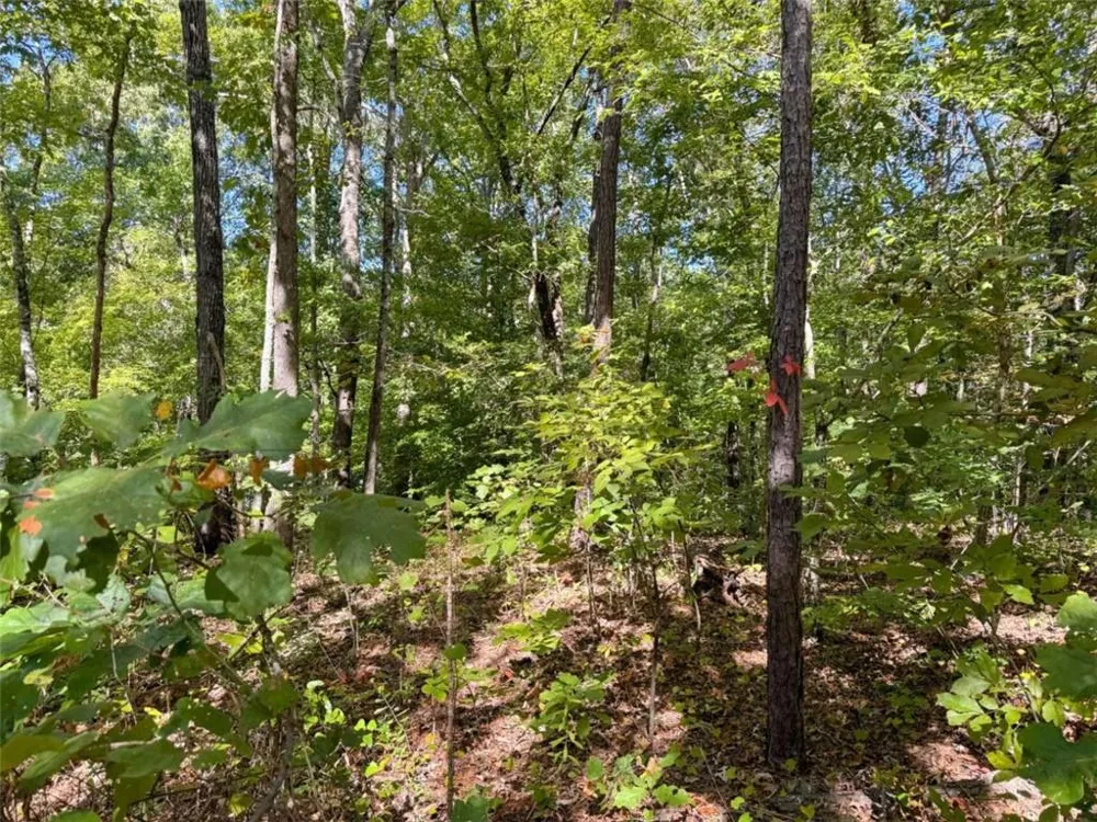 0 (Barrington Subd) 16 Approved Covington, GA 30016