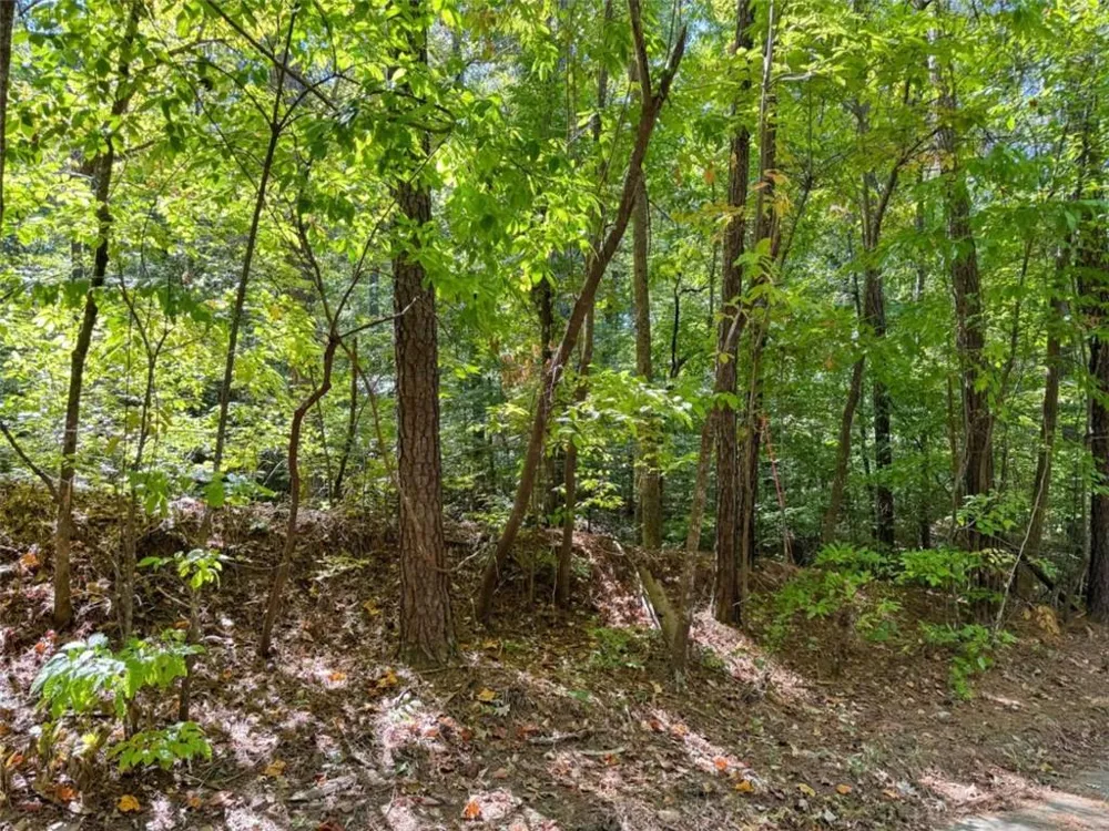 0 (Barrington Subd) 16 Approved Covington, GA 30016