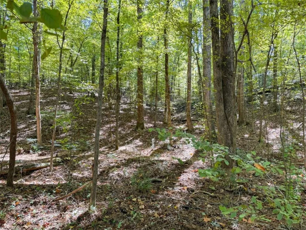 0 (Barrington Subd) 16 Approved Covington, GA 30016