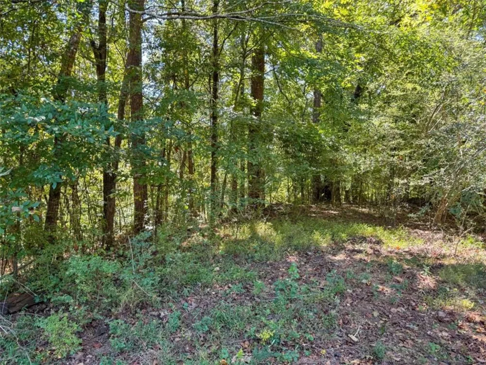 0 (Barrington Subd) 16 Approved Covington, GA 30016