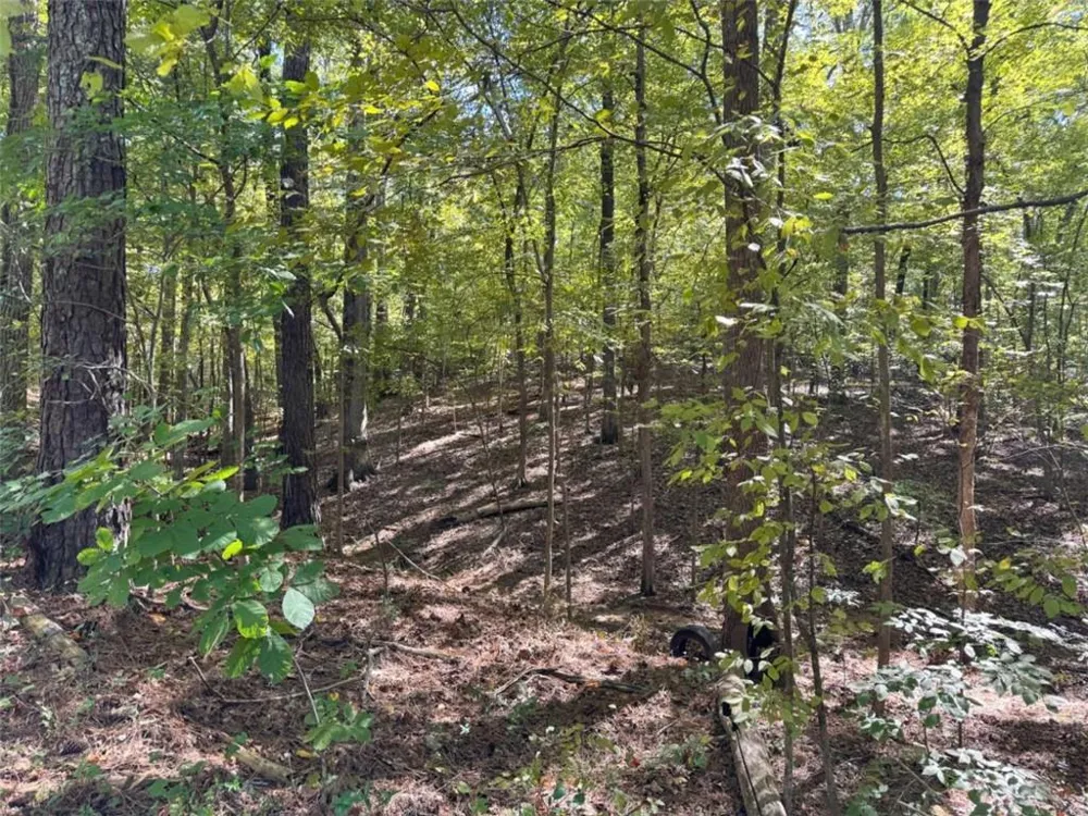 0 (Barrington Subd) 16 Approved Covington, GA 30016