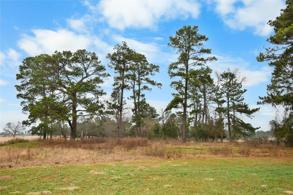 7530 Fm 227 W Grapeland, TX 75844