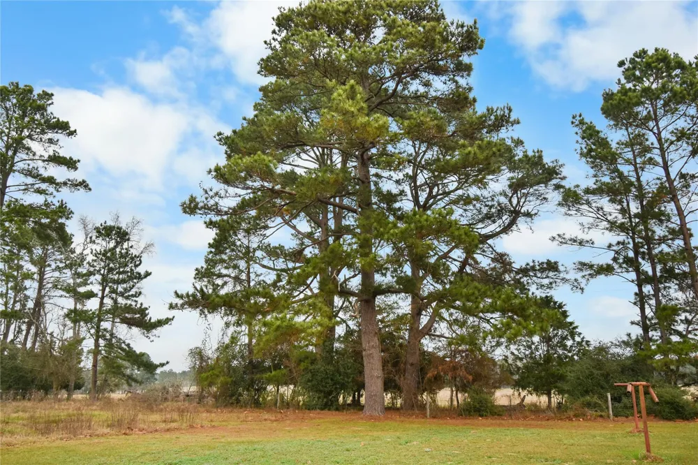 7530 Fm 227 W Grapeland, TX 75844