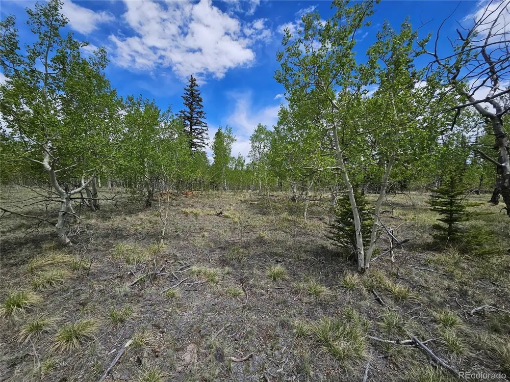 412 Smith And Wesson Road Como, CO 80456