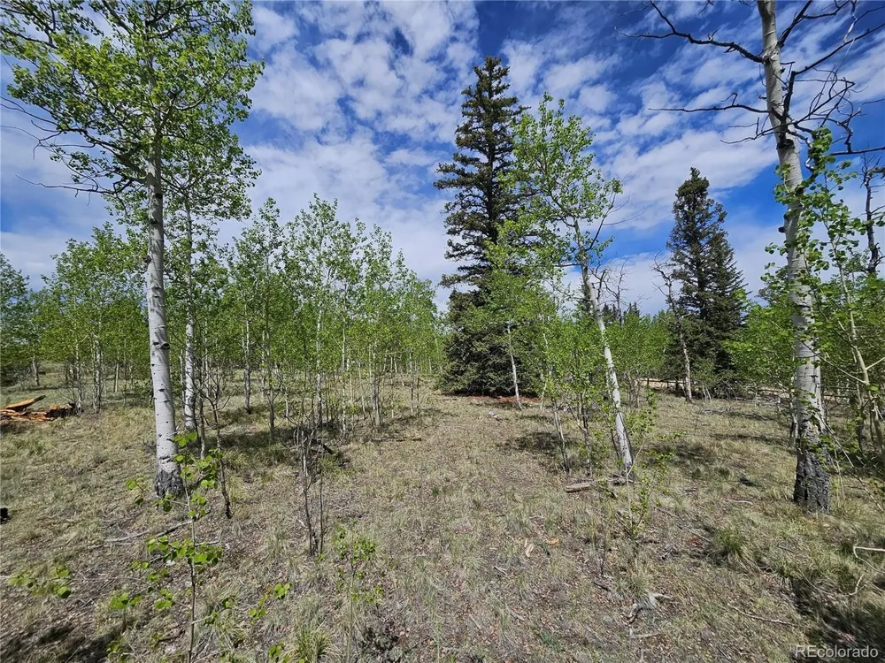 412 Smith And Wesson Road Como, CO 80456