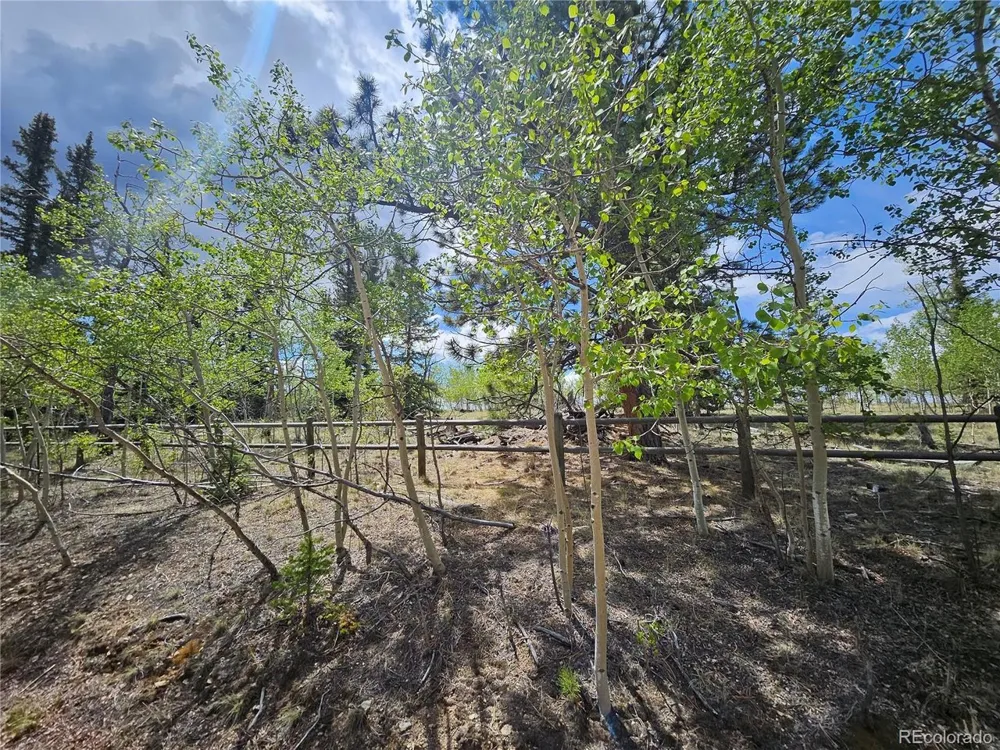 412 Smith And Wesson Road Como, CO 80456