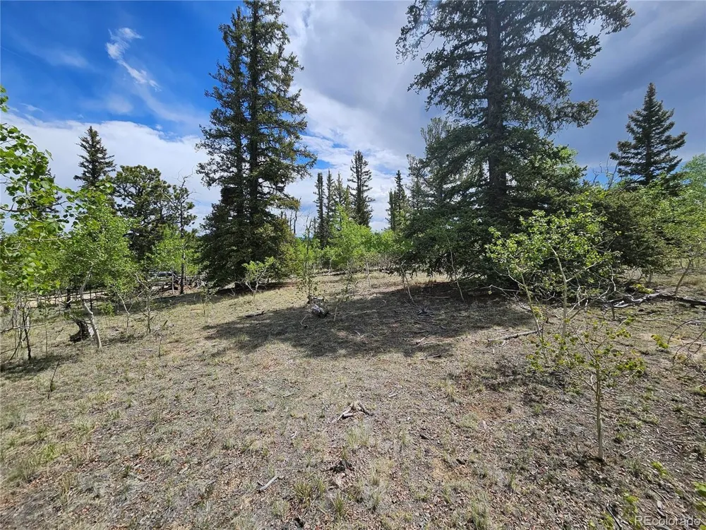 412 Smith And Wesson Road Como, CO 80456