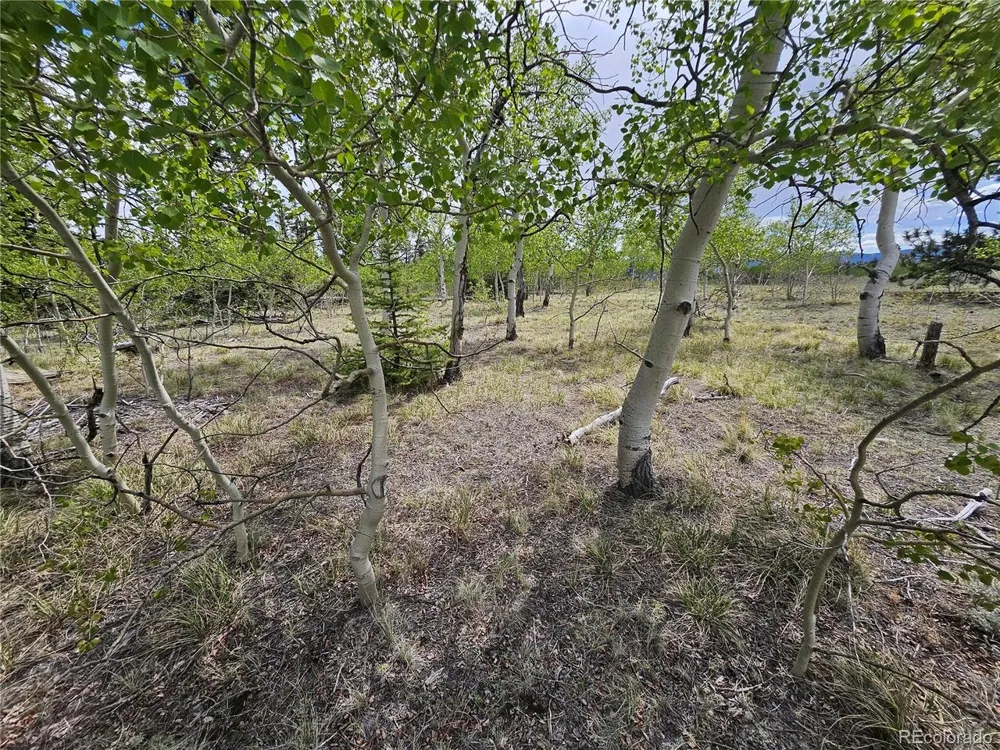 412 Smith And Wesson Road Como, CO 80456