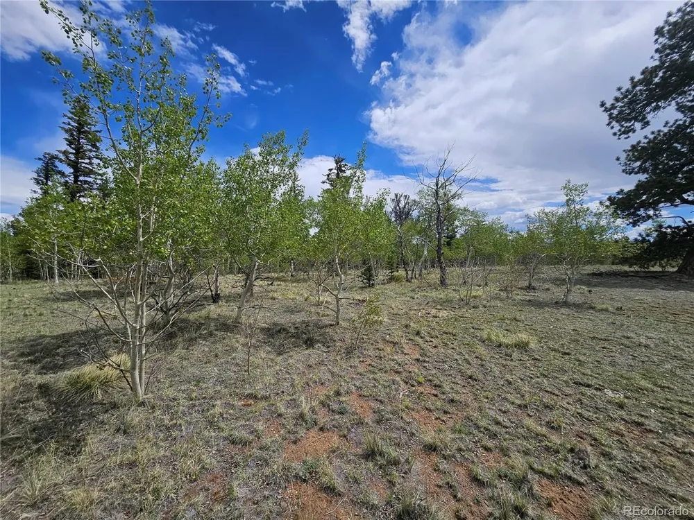 412 Smith And Wesson Road Como, CO 80456