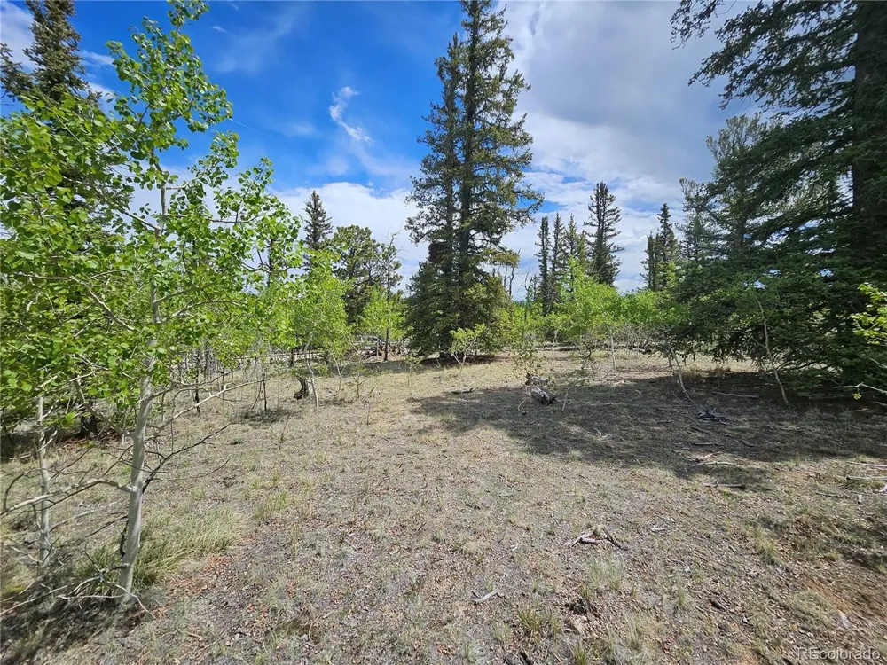412 Smith And Wesson Road Como, CO 80456